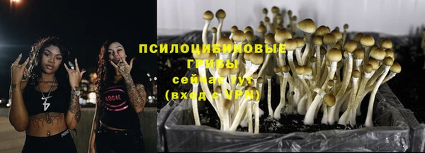 амфетамин Новозыбков