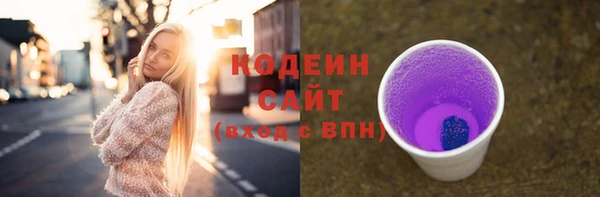 сатива Новодвинск