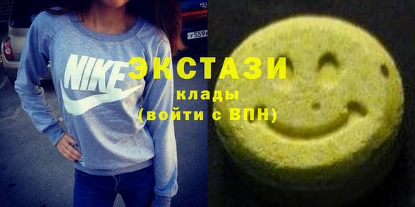 сатива Новодвинск
