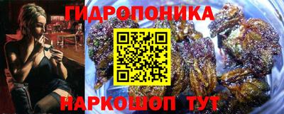 spice Кинель