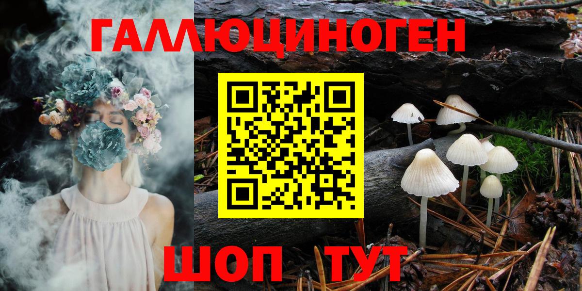 Псилоцибиновые грибы мицелий Лесозаводск