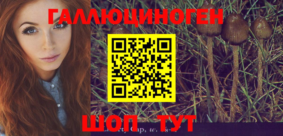 Псилоцибиновые грибы ЛСД  Вход с VPN  Псилоцибиновые грибы мухоморы  Лесозаводск 